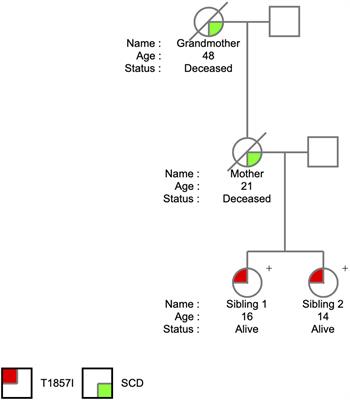 Biophysical Characterization of a Novel SCN5A Mutation Associated With an Atypical Phenotype of Atrial and Ventricular Arrhythmias and Sudden Death